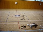 FAMOS - plus dřevěné a průmyslové podlahy Hala Bystřice p/H.  002 [ celkový pohled]